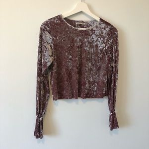 𝅺Zara Shiny Velvet Top